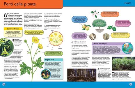 L'enciclopedia della vita - 4
