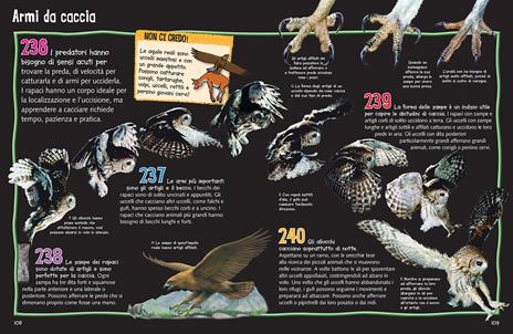 Meravigliosi animali. Conoscimondo. Ediz. a colori - Jinny Johnson,Ann Kay,Steve Parker - 2