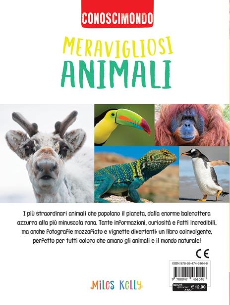 Meravigliosi animali. Conoscimondo. Ediz. a colori - Jinny Johnson,Ann Kay,Steve Parker - 3