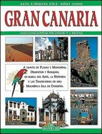 Gran Canaria. Ediz. spagnola - Giuliano Valdes,Patrizia Fabbri,Bruno Foggi - copertina