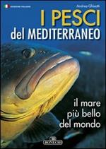 Pesci del Mediterraneo il mare più bello del mondo