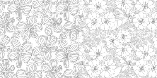I colori dei fiori. Album anti-stress - 3