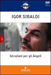 Istruzioni per gli angeli. Con DVD - Igor Sibaldi - copertina