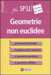 Geometrie non euclidee - Silvia Benvenuti - copertina
