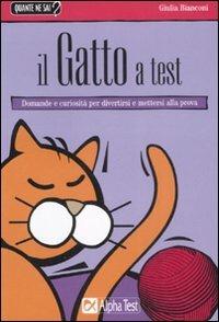 Il gatto a test - Giulia Bianconi - copertina