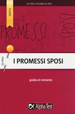 I Promessi Sposi. Guida al romanzo