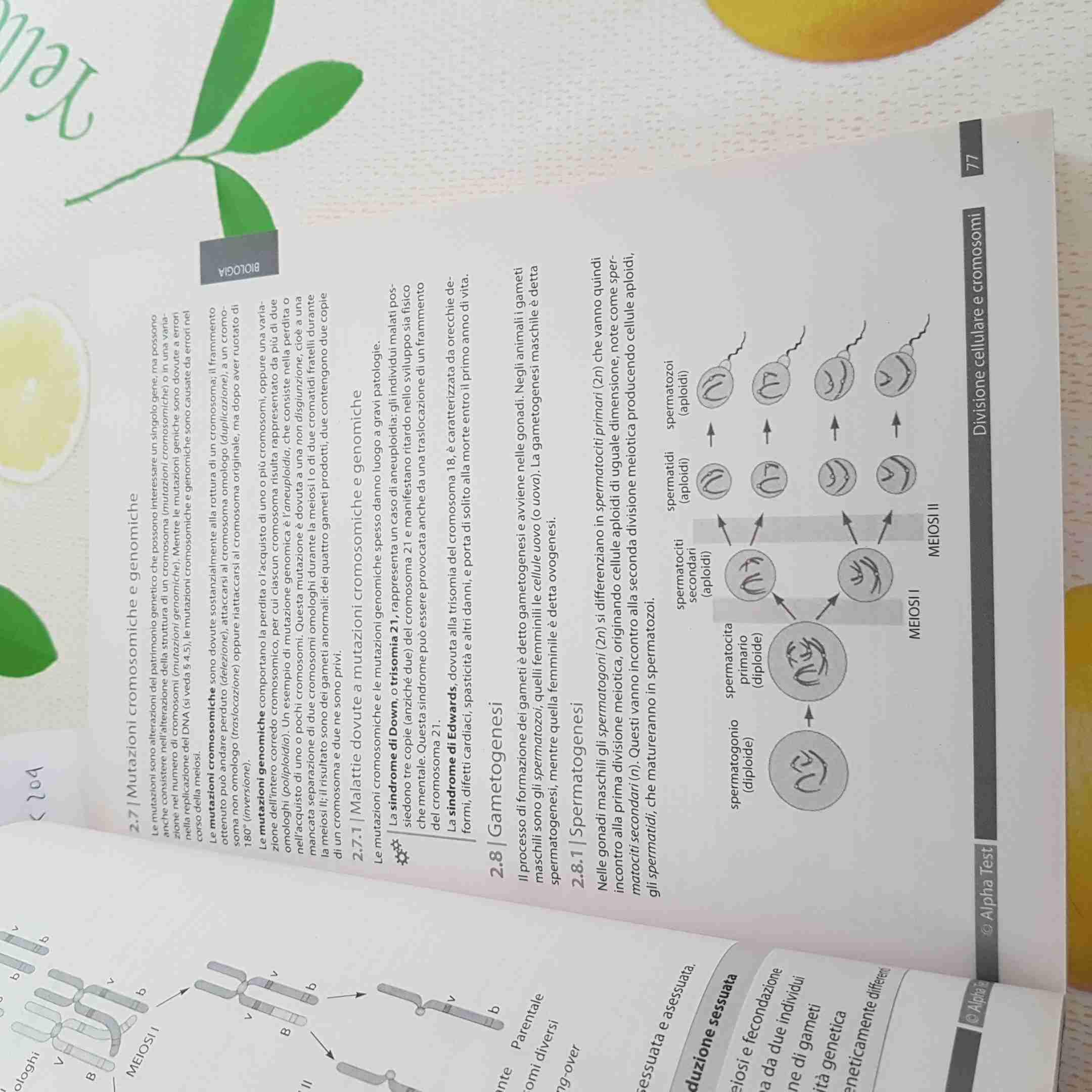 Alpha Test. Biotecnologie e farmacia. Manuale di preparazione