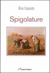 Spigolature - Rino Esposito - copertina