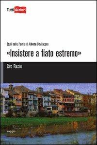 Insistere a fiato estremo - Ciro Riccio - copertina