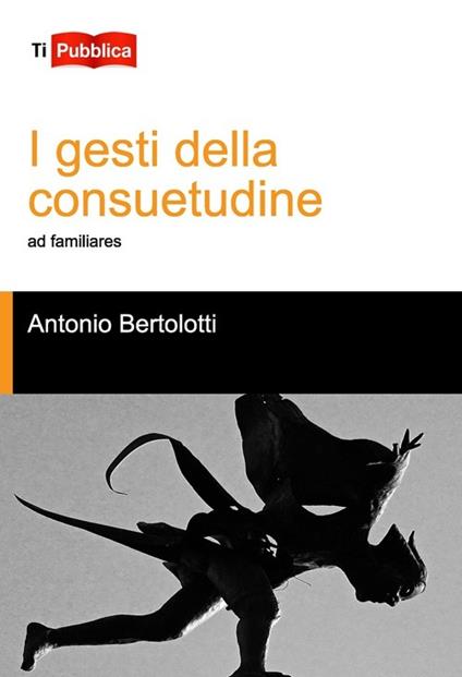 I gesti della consuetudine - Antonio Bertolotti - copertina