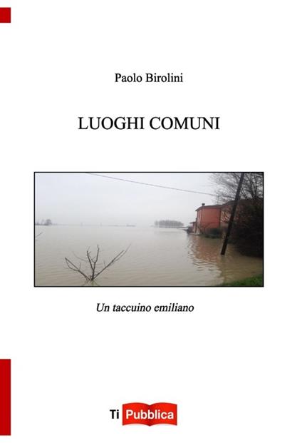 Luoghi comuni. Un taccuino emiliano - Paolo Birolini - copertina