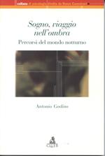 Sogno, viaggio nell'ombra. Percorsi del mondo notturno