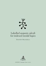 Labelled sequent calculi for indexed modal logics