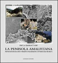 Le trasformazioni e il progetto urbano. Una metodologia operativa per una nuova dialettica tra piano e progetto - Paola Giannattasio - copertina