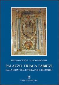 Palazzo Triaca Fabrizi. Dalla didattica un'idea per il recupero - Stefano Cecere,Marco Briganti - copertina