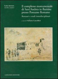 Il complesso monumentale di Sant'Andrea in Flumine presso Ponzano Romano. Restauri e studi interdisciplinari. Ediz. illustrata. Con CD-ROM - copertina