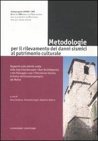 Metodologie per il rilevamento dei danni sismici al patrimonio culturale. Ediz. illustrata - copertina