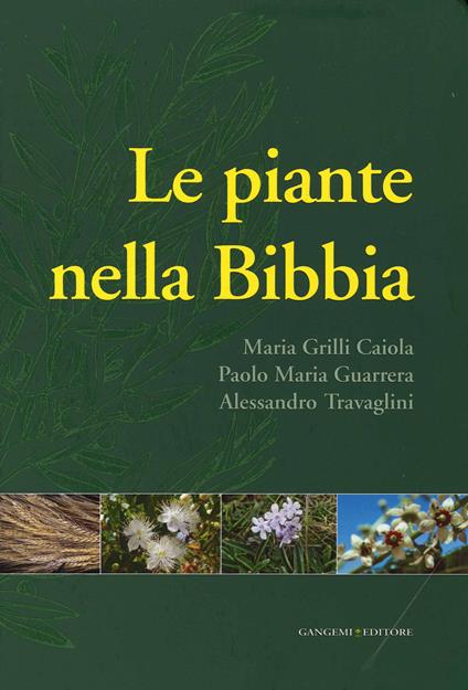 Le piante nella Bibbia - Maria Grilli Caiola,Paolo Maria Guarrera,Alessandro Travaglini - copertina