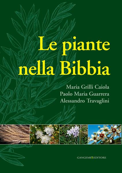 Le piante nella Bibbia - Maria Grilli Caiola,Paolo Maria Guarrera,Alessandro Travaglini - ebook
