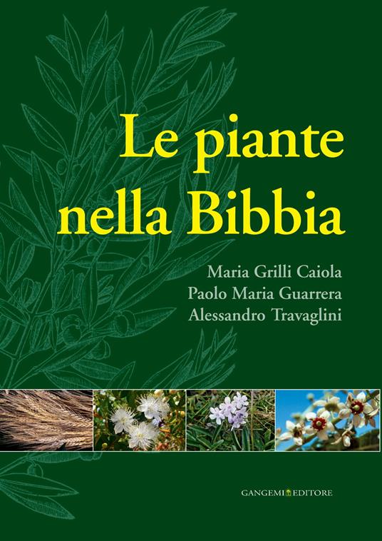 Le piante nella Bibbia - Maria Grilli Caiola,Paolo Maria Guarrera,Alessandro Travaglini - ebook