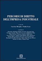 Percorsi di diritto dell'impresa industriale