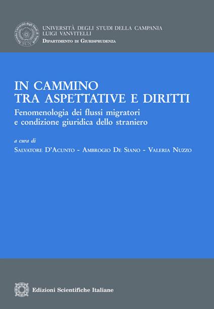 In cammino tra aspettative e diritti. Fenomenologia dei flussi migratori e condizione giuridica dello straniero - copertina