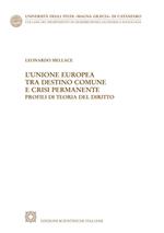 L' Unione Europea tra destino comune e crisi permanente. Profili di teoria del diritto