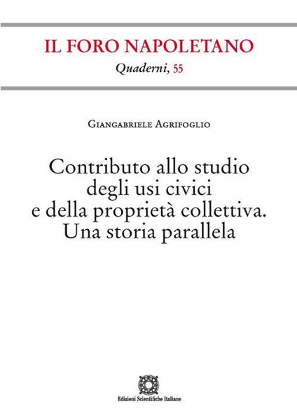 Contributo allo studio degli usi civici e della proprietà collettiva. Una storia parallela - Giangabriele Agrifoglio - copertina