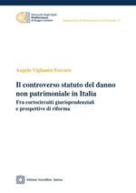 Il controverso statuto del danno non patrimoniale in Italia