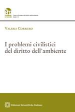 I problemi civilistici del diritto dell'ambiente