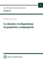 La rinunzia e la disposizione tra proprietà e comproprietà