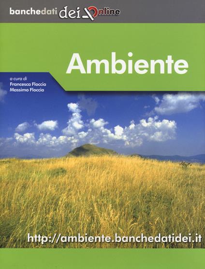 Ambiente. Con aggiornamento online - copertina