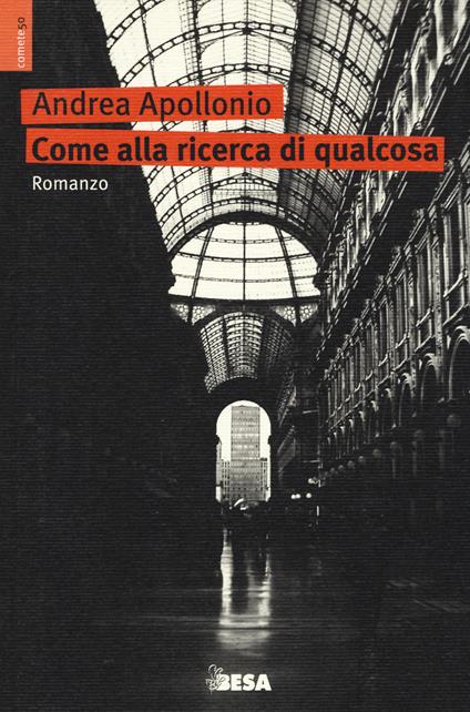 Come alla ricerca di qualcosa - Andrea Apollonio - copertina