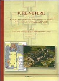 Jure Vetere. Ricerche archeologiche nella prima fondazione monastica di Gioacchino da Fiore (Indagini 2001-2005). Ediz. illustrata - copertina