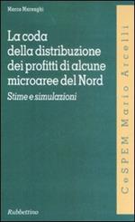 La coda della distribuzione dei profitti di alcune microaree del Nord. Stime e simulazioni