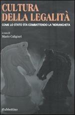 Cultura della legalità. Come lo Stato sta combattendo la 'ndrangheta