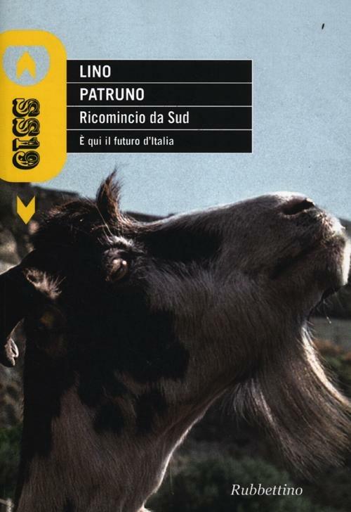 Ricomincio da Sud. È qui il futuro d'Italia - Lino Patruno - copertina