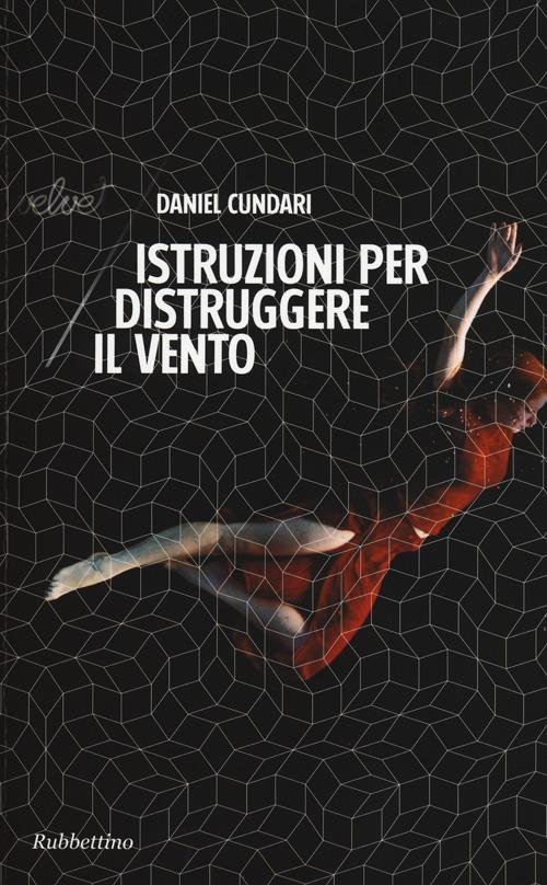 Istruzioni per distruggere il vento - Daniel Cundari - copertina