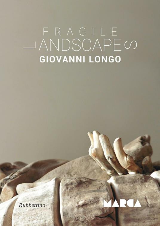 Fragile landscapes - Giovanni Longo - copertina