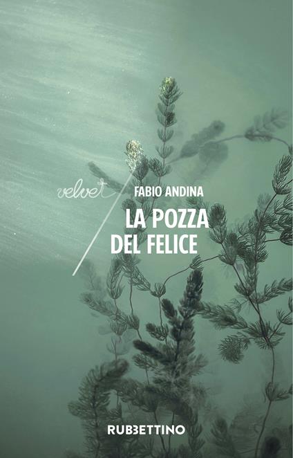 La pozza del felice - Fabio Andina - ebook