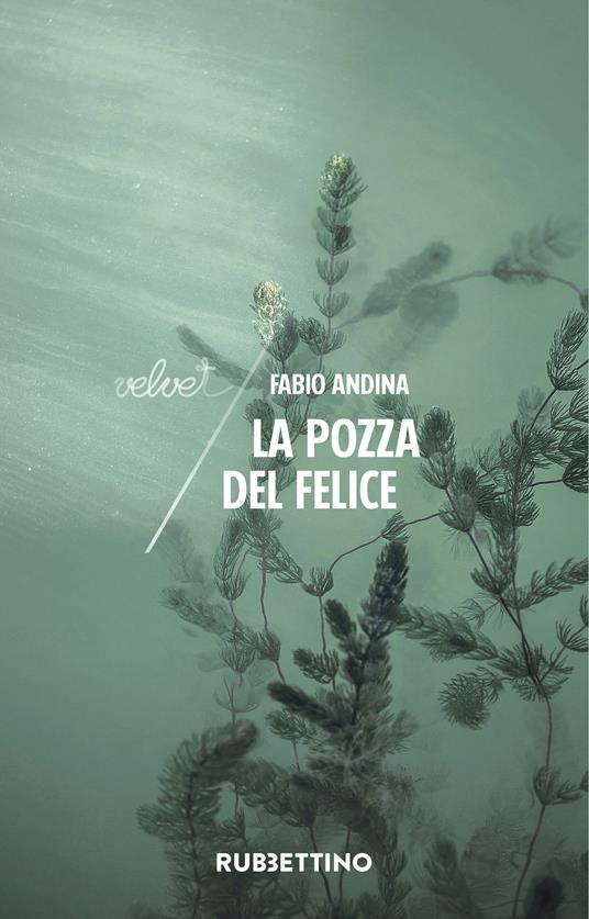La pozza del felice - Fabio Andina - ebook