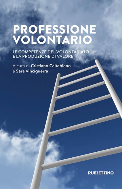 Professione volontario. Le competenze del volontariato e la produzione di valore - copertina