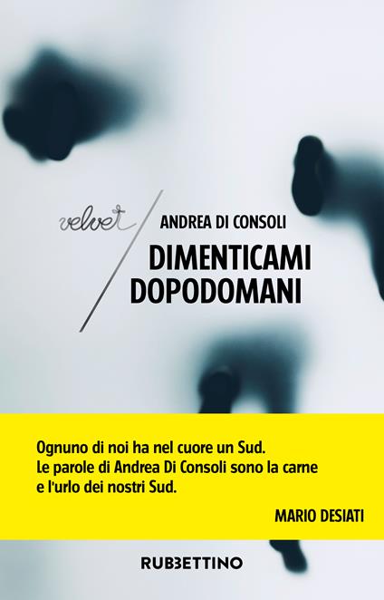 Dimenticami dopodomani - Andrea Di Consoli - copertina