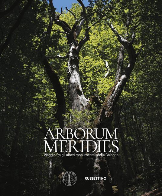 Arborum meridies Calabria. Viaggio fra gli alberi monumentali della Calabria - copertina