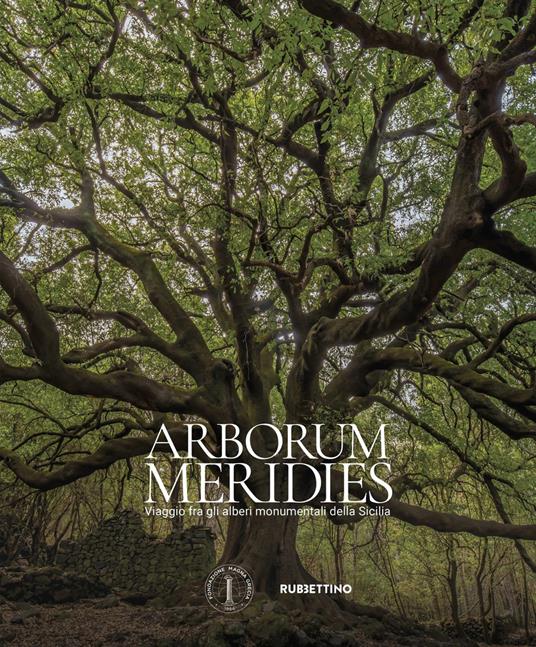 Arborum meridies. Viaggio fra gli alberi monumentali della Sicilia - copertina