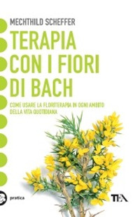 Libraccio