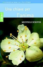 Una chiave per l'anima - Mechthild Scheffer - copertina
