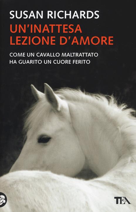 Un' inattesa lezione d'amore - Susan Richards - 2