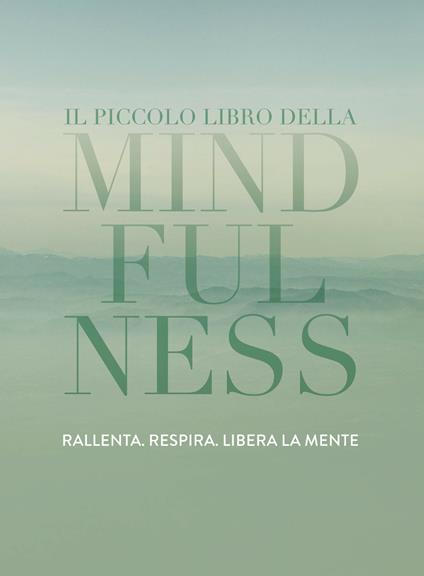 Il piccolo libro della mindfulness - Tiddy Rowan,Valentina Russo - ebook