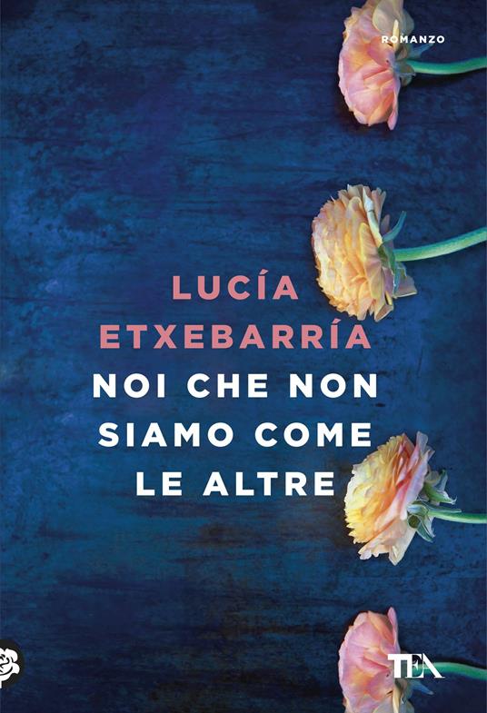 Noi che non siamo come le altre - Lucía Etxebarría - copertina